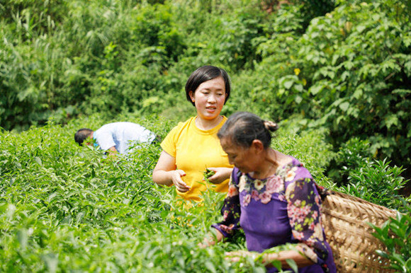 欧敏与村民采摘村蔬菜基地辣椒（资料图）。潼南区委宣传部供图 华龙网发