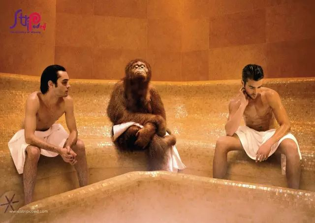 图片来源：微信公号“Strip上海”