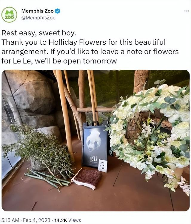 图片来源：孟菲斯动物园官方推特截图