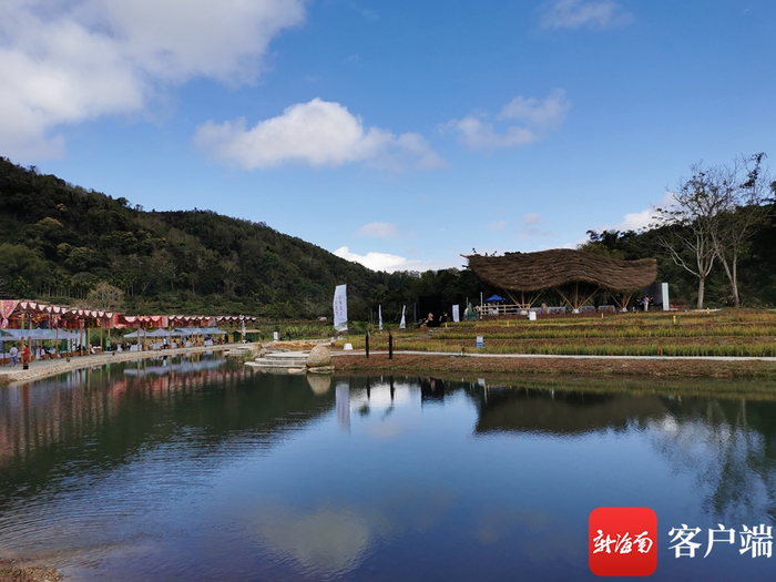 五指山毛纳村早春茶开采节主舞台活动现场。记者 石祖波 摄