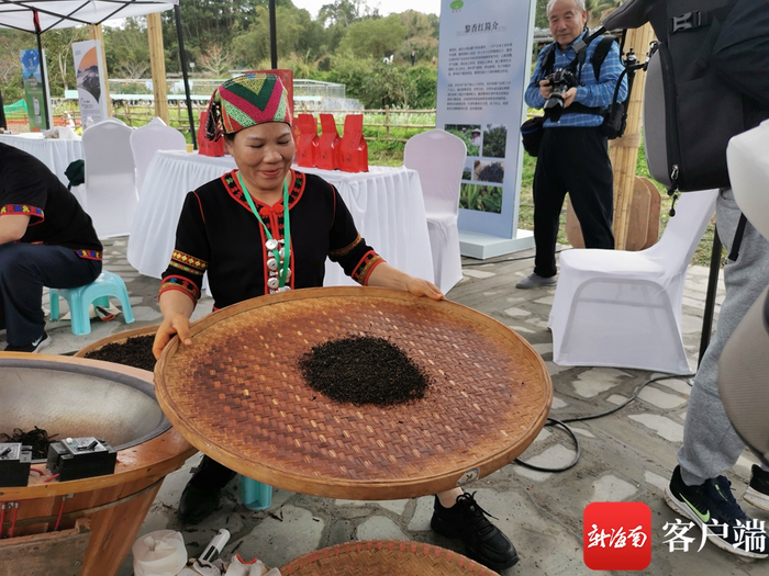 五指山知名茶匠邢秋梅向大家展示手工炒制的五指山大叶茶。记者 石祖波 摄