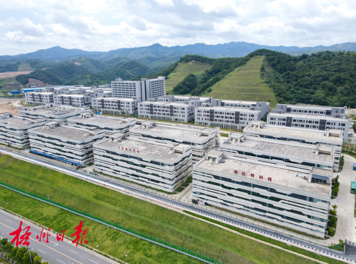 粤桂合作特别试验区   陈凡 容丽媚 摄