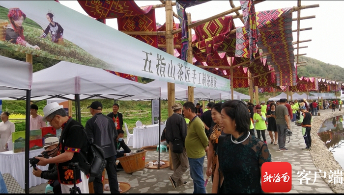 五指山茶匠手工制茶展演现场。记者 石祖波 摄