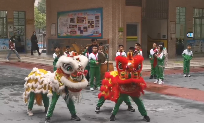 在鹤山市沙坪三小，醒狮队在学校广场中央依次向东南西北四个方向舞动，为新学期开学增添喜庆。