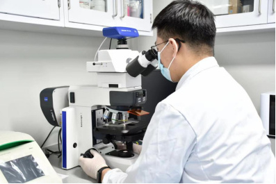 张宁在做实验   受访者供图