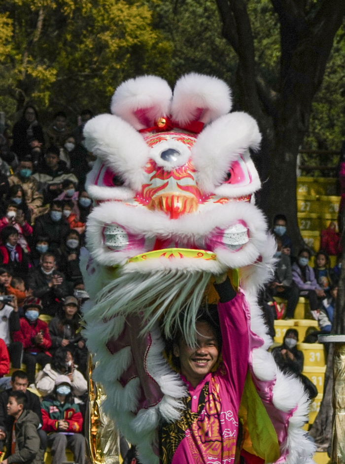 　　↑2023年1月24日，春节期间，狮团在南海西樵山表演醒狮贺新春。