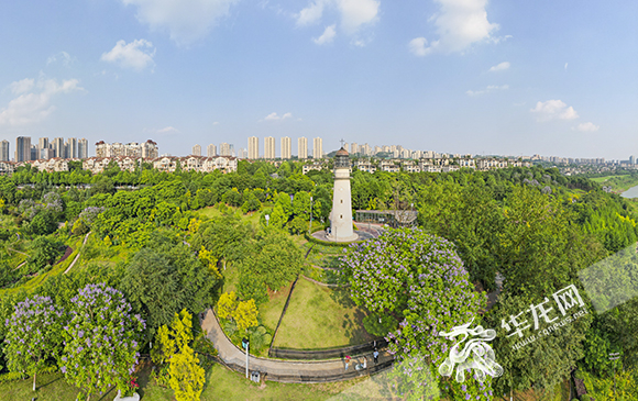 两江新区金海湾滨江公园。华龙网-新重庆客户端 首席记者 李文科 摄