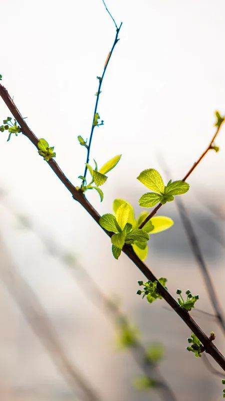 （图片来源：千图网）