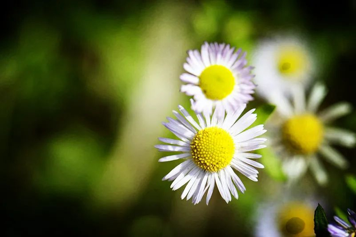 （图片来源：千图网）