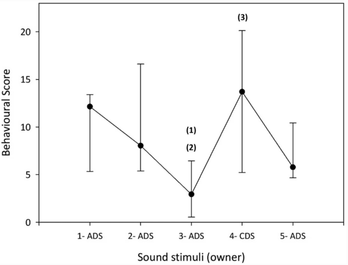 论文内截图｜LECD