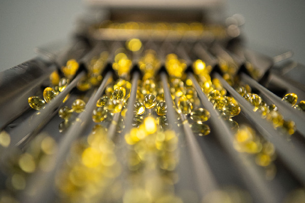 广药国际（澳门）青洲制药厂正在进行灵芝孢子油分装生产。记者　张金加　摄