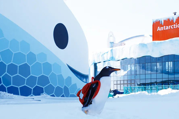 哈尔滨极地公园。