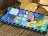 苹果产品受欢迎程度调查：iPhone > iPad > Apple Wa