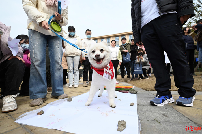 ▲患者牵着“狗医生”在白纸上留下彩色的爪印