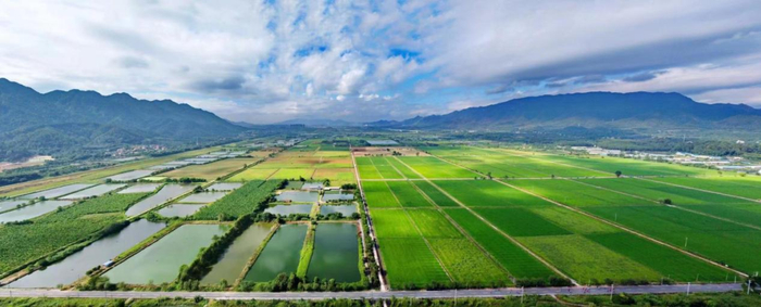 碧桂园万亩智慧农业园