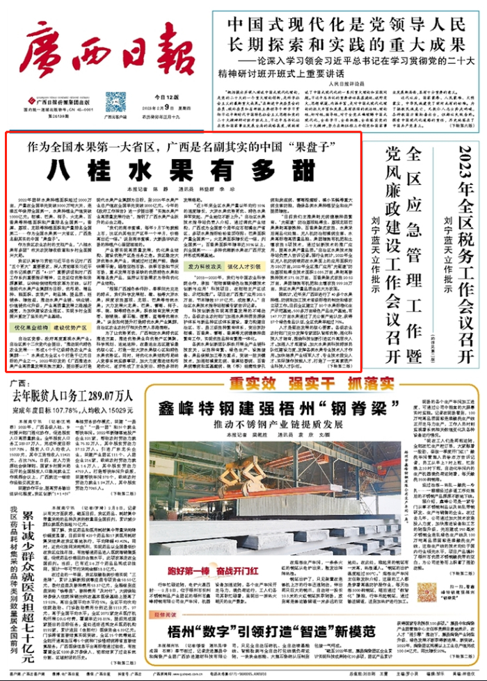 广西日报2月9日头版特别报道