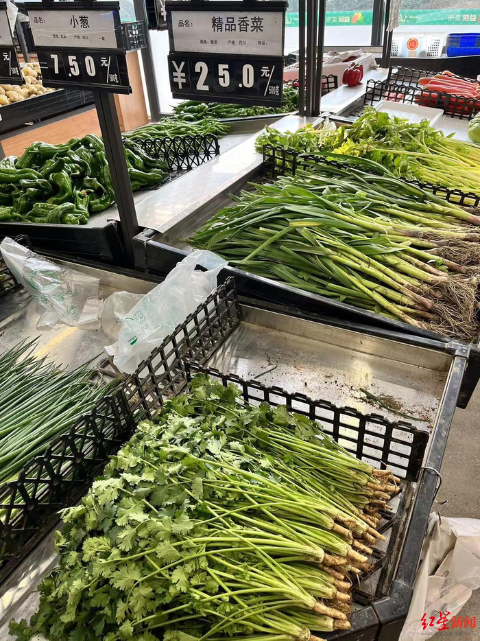 ▲益民菜市万科翡翠店的精品香菜售价为25元/斤