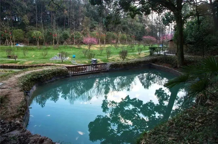    ▲图源/丽水在线