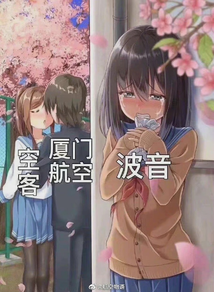 当年，爱好者之间开玩笑的恶搞图没想到几年之间真的已经到来。不过更有意思的是厦航董事长在接受采访时表示：“