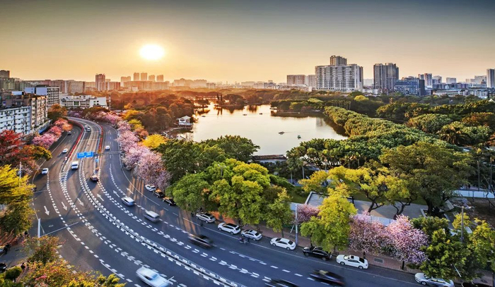 斜阳下的流花湖公园