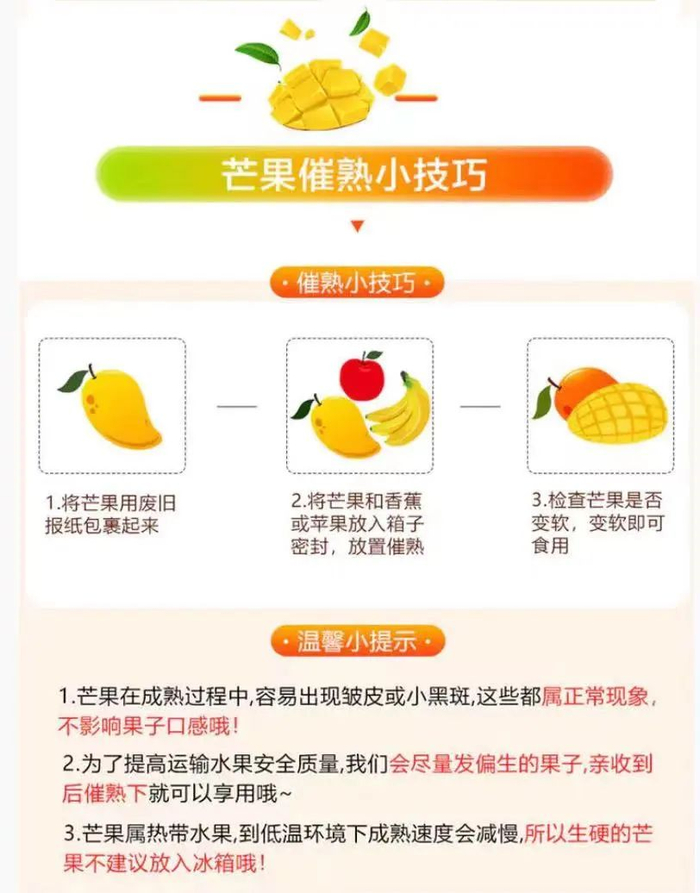 金煌芒的珍贵之处在于，果大、核小、甜度又高，几乎集合了所有芒果的优点，如果说它有什么缺点，那只有一个，就是赏味期短。