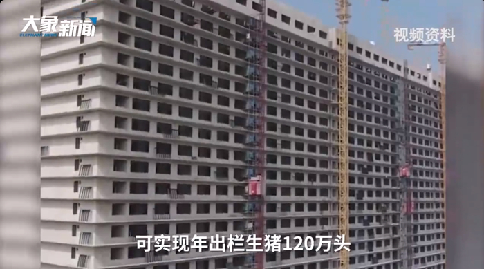 图片来源：大象新闻