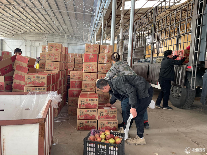 鑫丰果库内，工作人员将2000多箱苹果装车。 本报记者 王新欣 摄