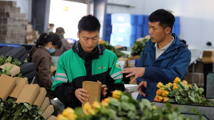叮咚买菜在云南的鲜花基地。企业供图