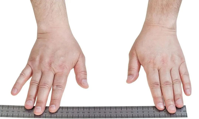 图片来源于摄图网