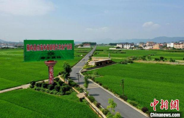 广东省梅州市蕉岭县丝苗米省级现代农业产业园　广东省农业农村厅 供图