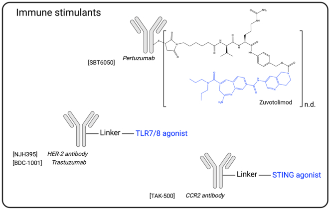 图9. 免疫刺激抗体偶联物结构示意图