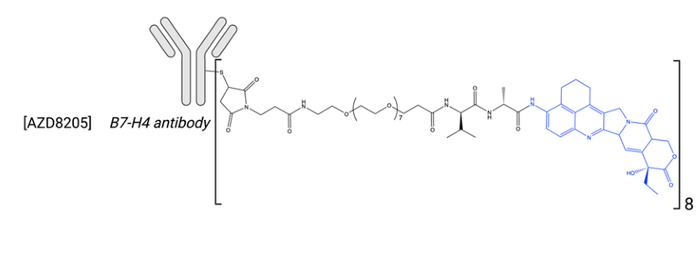 图3. AZD8205结构示意图