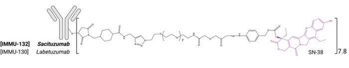 图4. 基于SN-38的代表ADC药物结构示意图