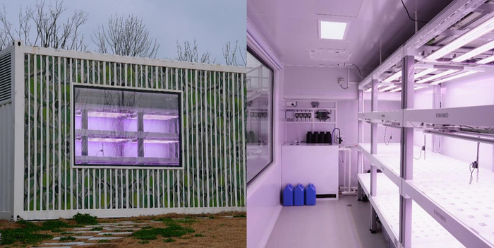 ▲ 图为此次比赛使用的集装箱垂直农场及内部基础配套设施。空豆｜摄