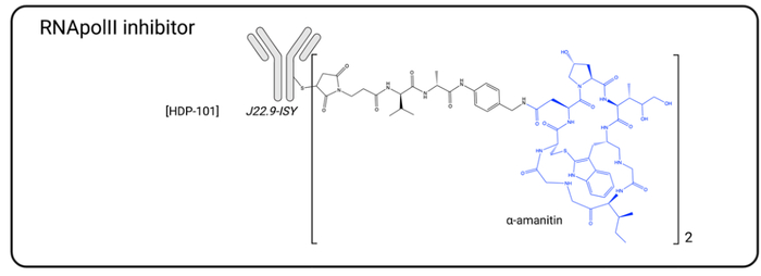 图8. HDP-101结构示意图
