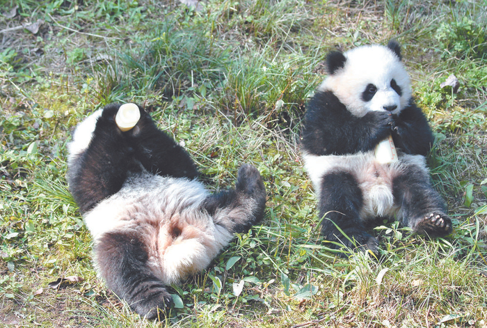     哥哥（左）妹妹（右）喝奶