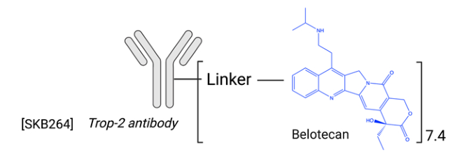 图5.SKB264结构示意图