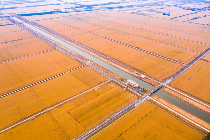 划定管好耕地“红线”，切实保障粮食安全。  赵永涛  摄