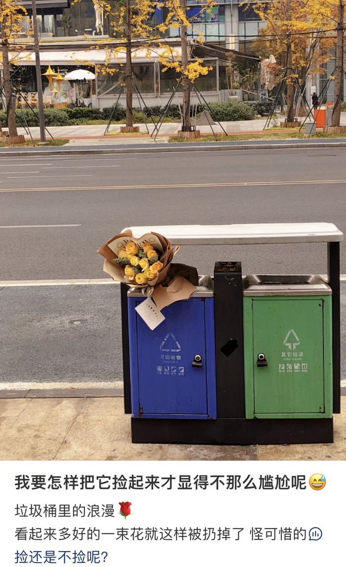     小红书©杨三岁   