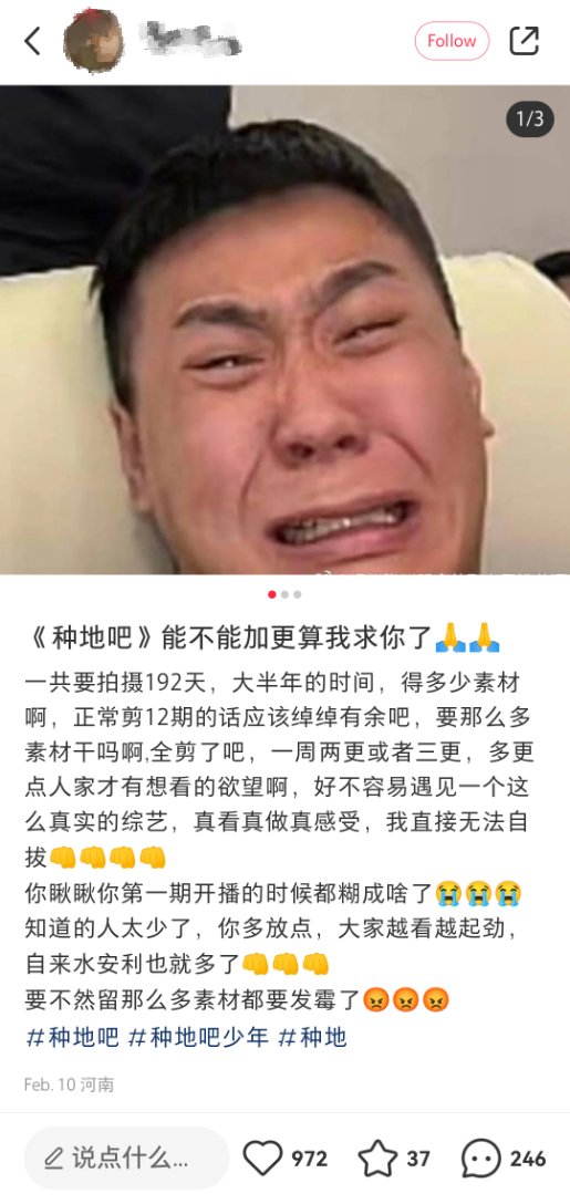 小红书网友催更