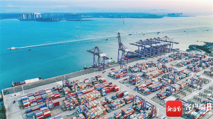 2月7日，在洋浦国际集装箱码头，大型船舶接连靠泊，货物装卸紧张有序，过往船只来回穿梭。海南日报记者 陈元才 摄