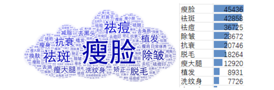 　　图1：轻医美项目领域消费者需求