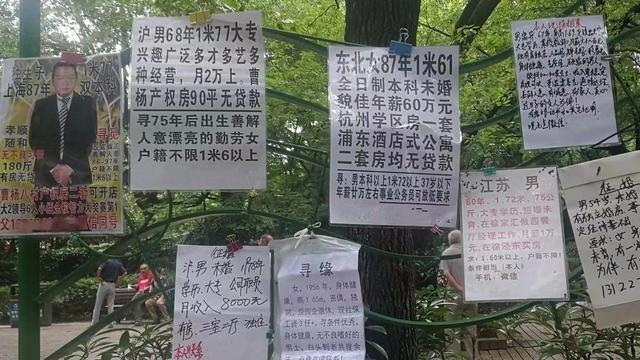 相亲角的征婚广告，地上摆不下就挂在树枝或围栏上。受访者供图