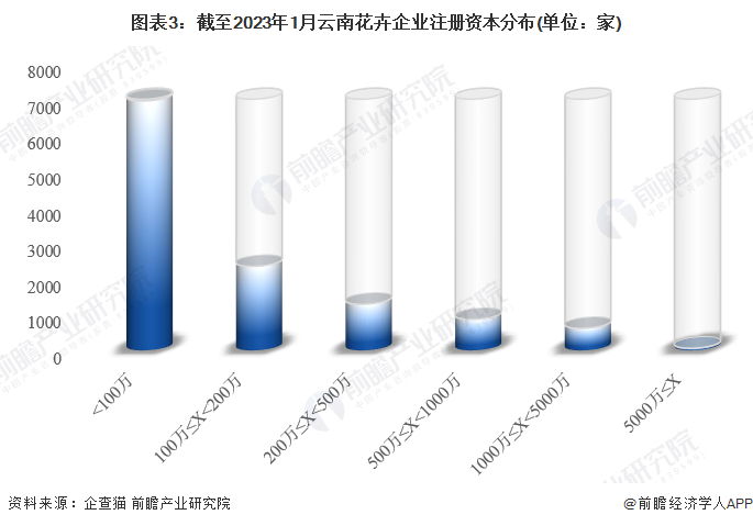 注：已将以美元和港元的注册资本转换为人民币。