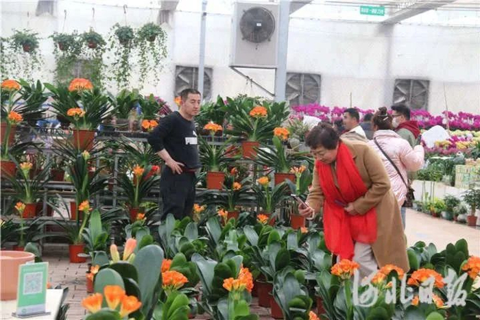 图为永清县农旅文化艺术节现场，游客们正在观赏国内外品种花卉。