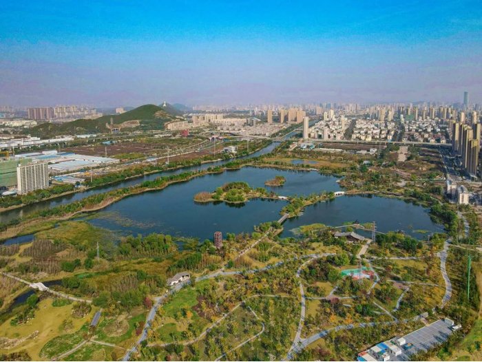 生态修复后的桃花源湿地公园