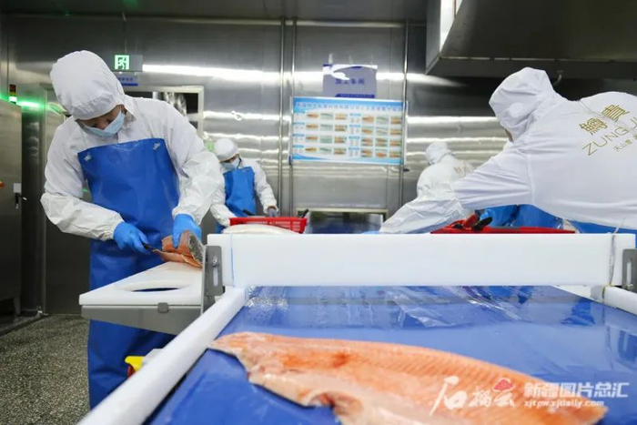 2月16日，在新疆鳟贵鲜食科技有限公司加工车间，工作人员正在对三文鱼进行切片处理。石榴云/新疆日报记者谢龙摄