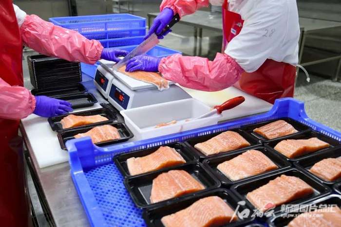 2月16日，在新疆鳟贵鲜食科技有限公司加工车间，工作人员正在切割三文鱼。石榴云/新疆日报记者谢龙摄