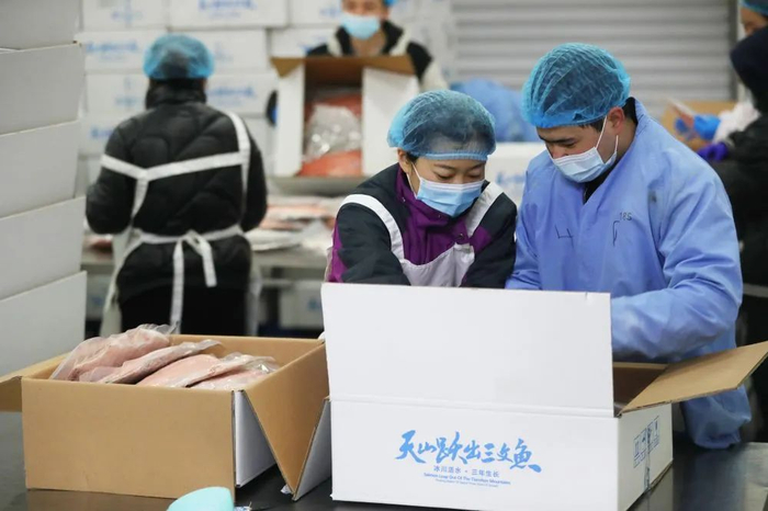 2月16日，在新疆鳟贵鲜食科技有限公司外包装车间，工作人员对产品进行打包。乌鲁木齐晚报全媒体记者石磊、李玫摄