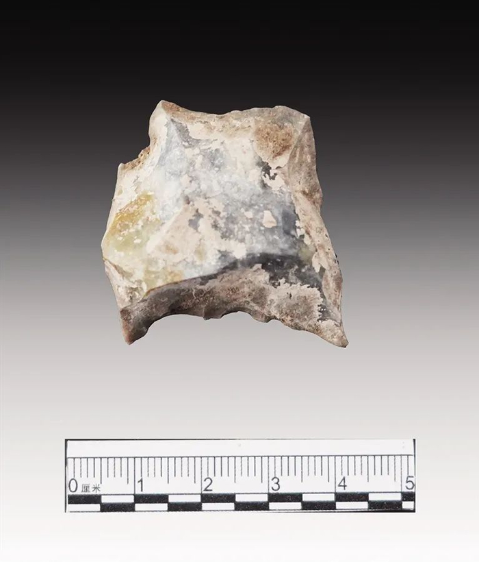 ▲四台遗址出土的锯齿刃刮削器。